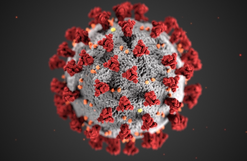 Covid-19 virus image