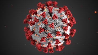 Covid-19 virus image